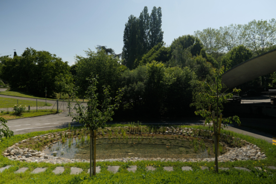 Vue de l'étang qui a été créé.