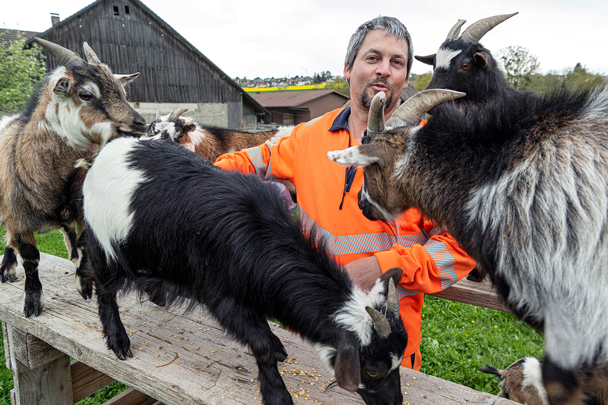 Portrait de Johan Waser, entouré de ses chèvres