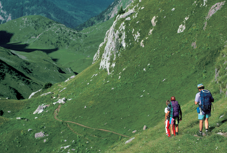 Groupe de trois personnes en randonnée dans un paysage alpin verdoyant.