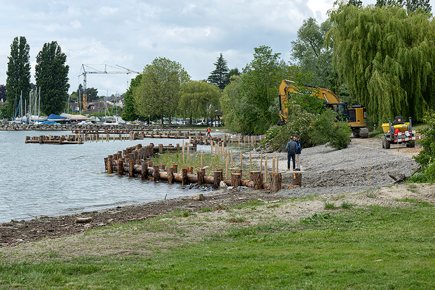 Le projet de renaturation visible dans son ensemble au bord du lac avec le renatureur en arrière-plan