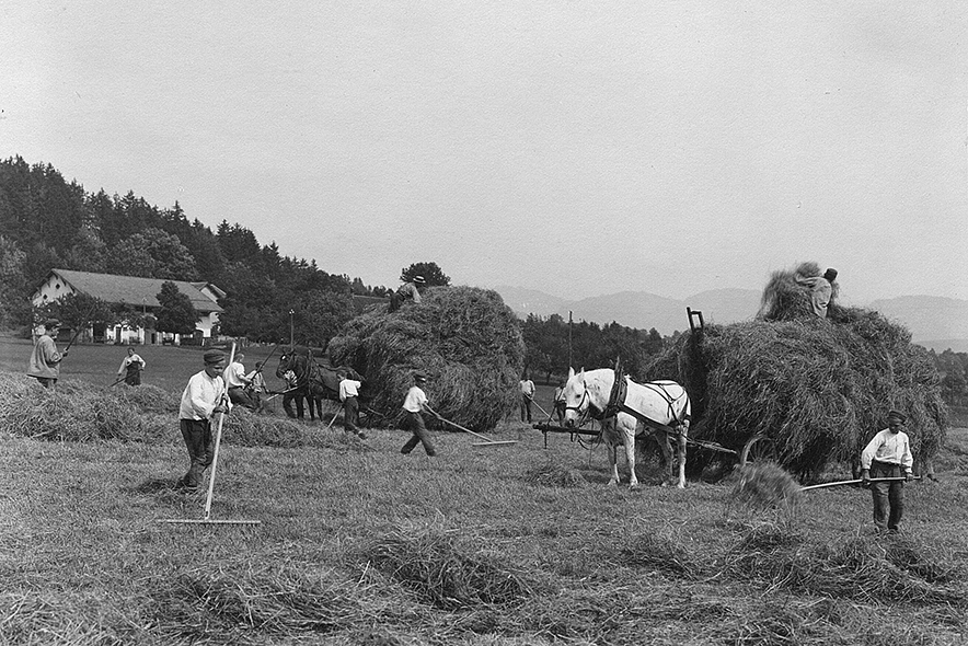 Photo d'archives: des enfants participent aux moissons dans un champ. Ils sont équipés de râteaux. Un cheval est attelé à un char où l'on empile le foin coupé.