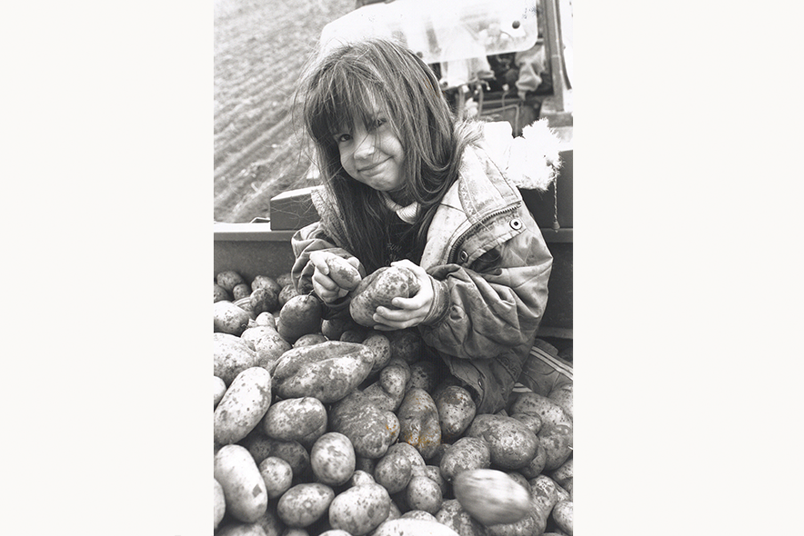 Une petite fille occupée au tri des pommes de terre.