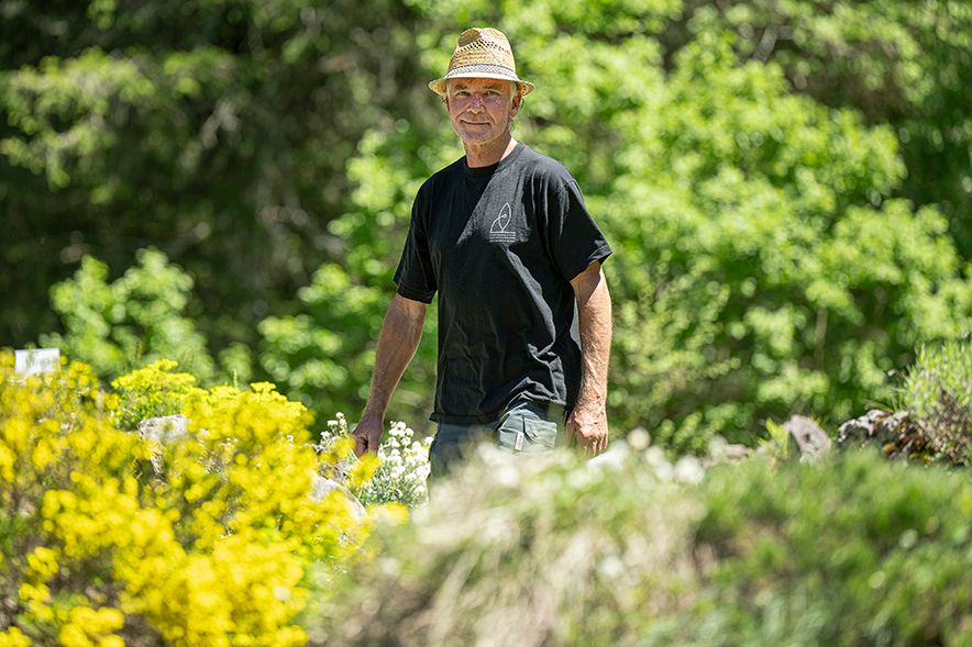 Au premier plan, des fleurs. Au deuxièeme plan, un homme marchant dans un jardin et en arrière plan une forêt d'épicéa.