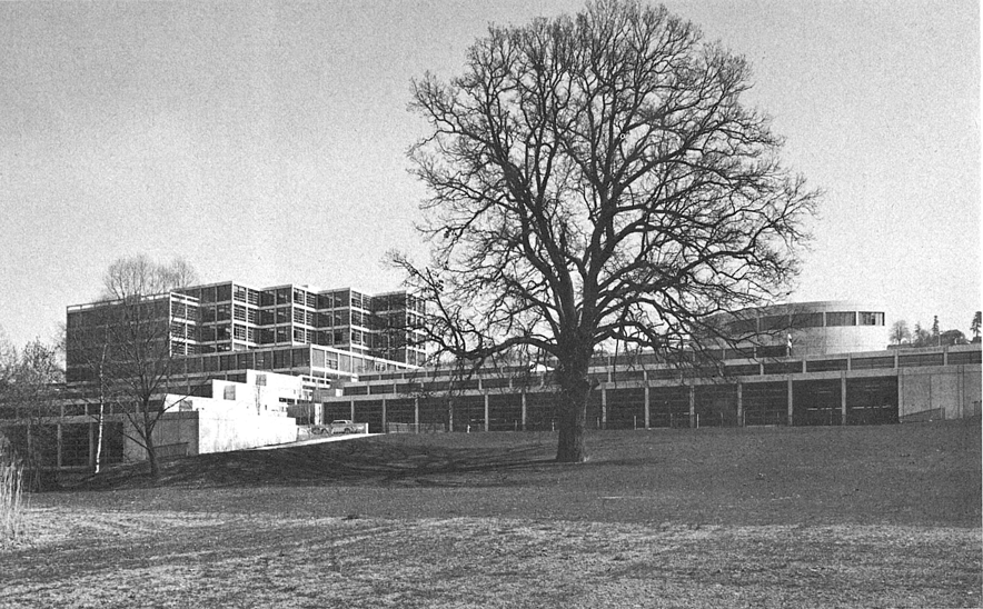 Image d'époque: le bâtiment, ses façades, un grand arbre. Noir et blanc.
