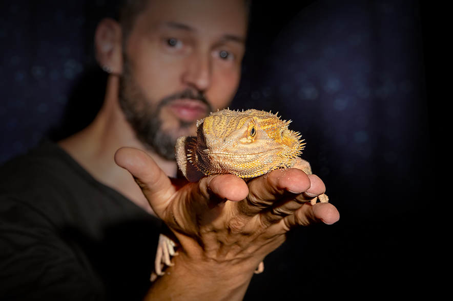Monsieur Gindroz tient dans ses mains un agame barbu, à la hauteur de son visage.