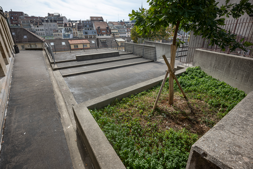 Au premier plan le préau, sol en bitume, petit arbre planté, au fond le bastingage et derrière, la rangée d'immeubles de la rue de Bourg, vus de dos, côté vallée du Flon.